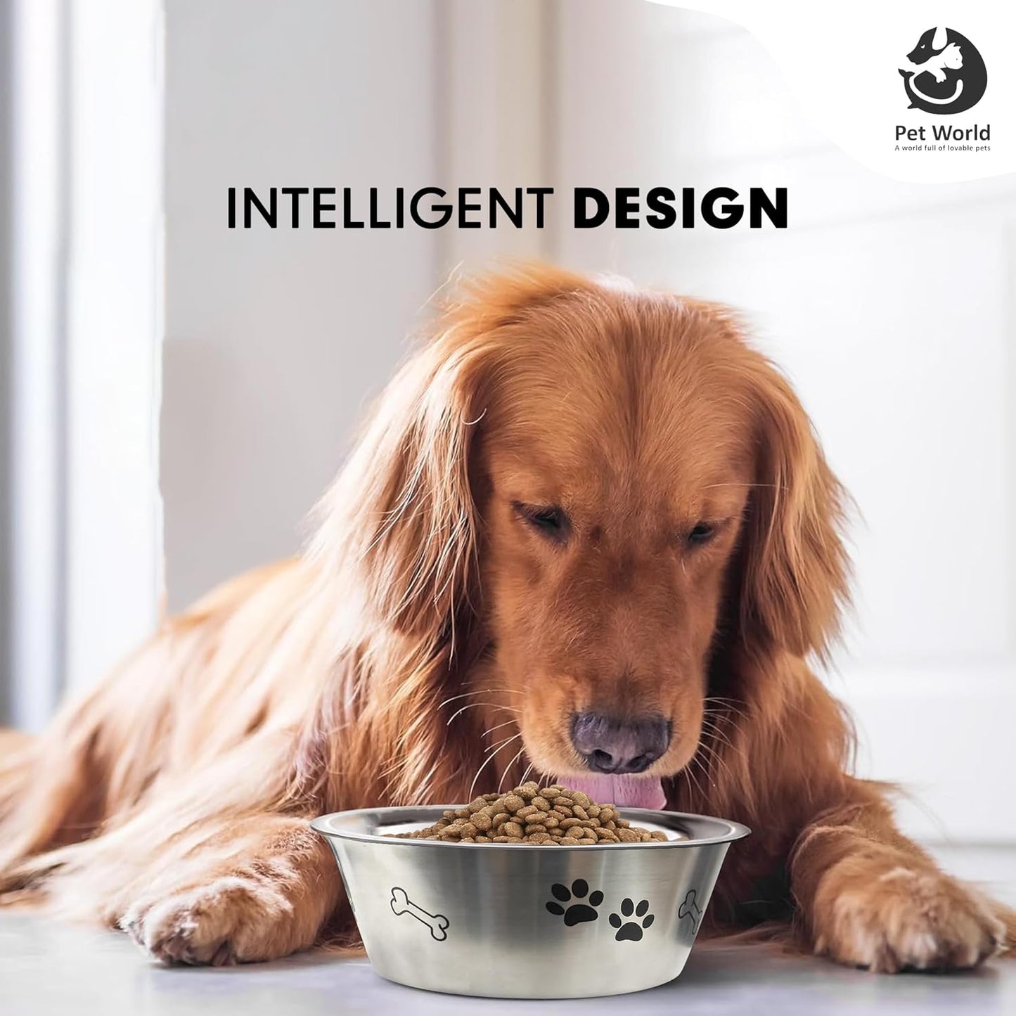 dog food & water bowl