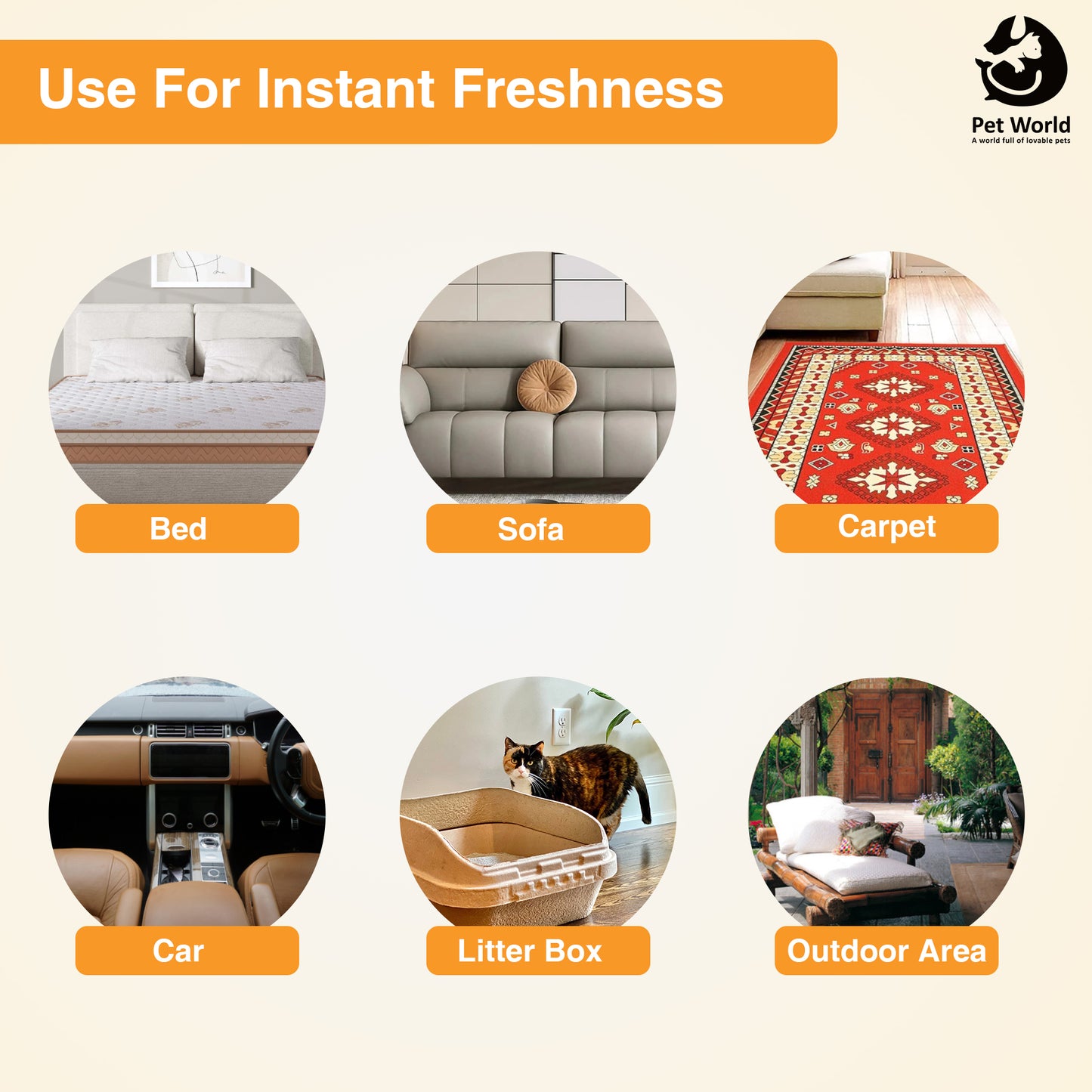 Instant Freshness