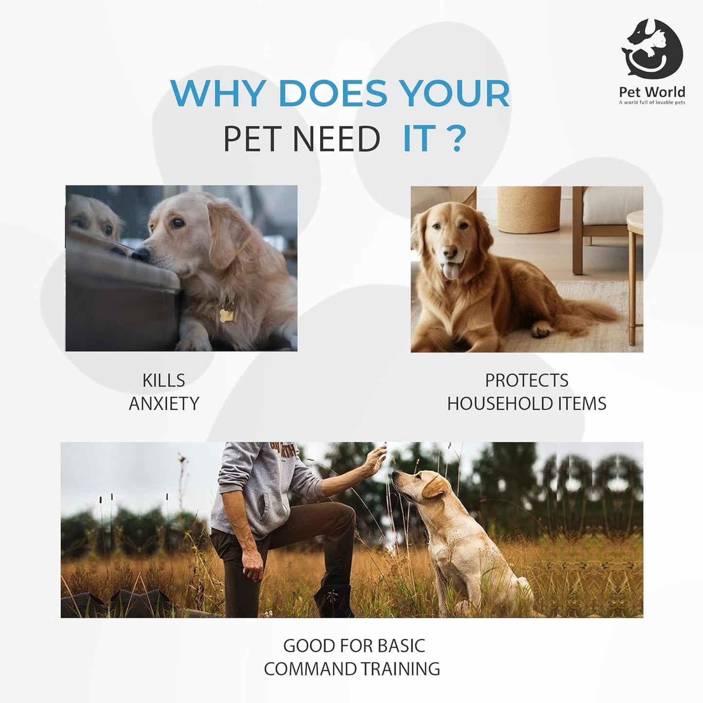 why dog needs cotton disk