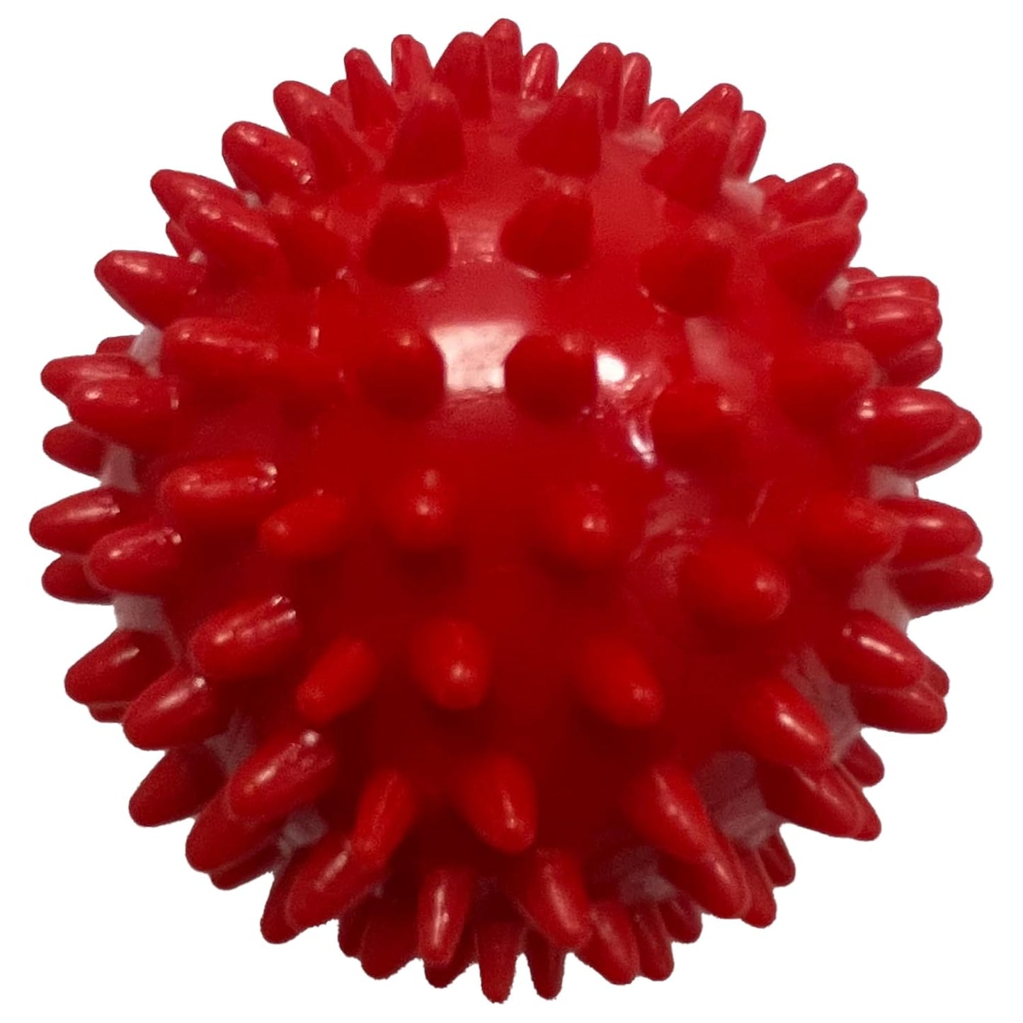 Dog Spike Ball