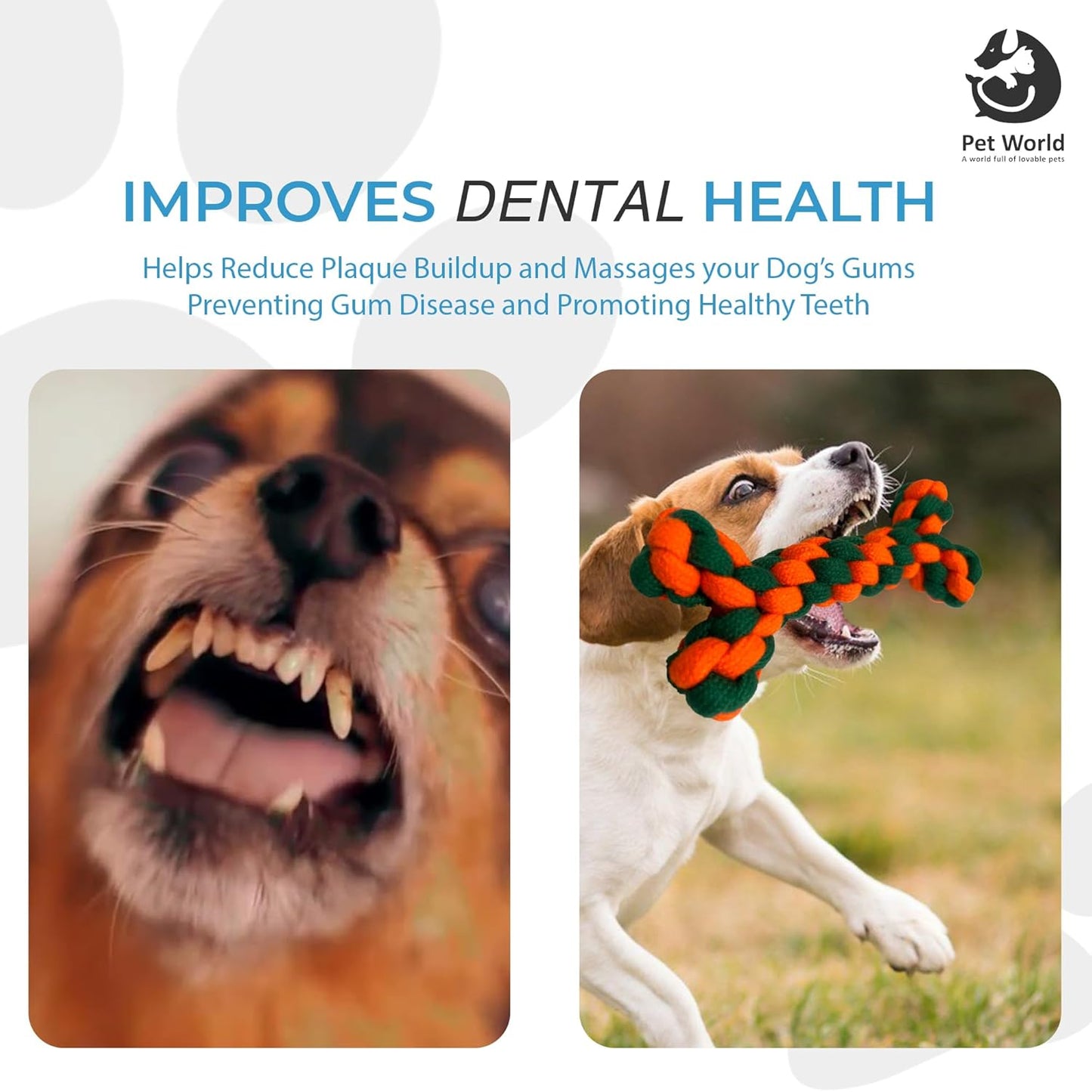 chew toys improves dental health