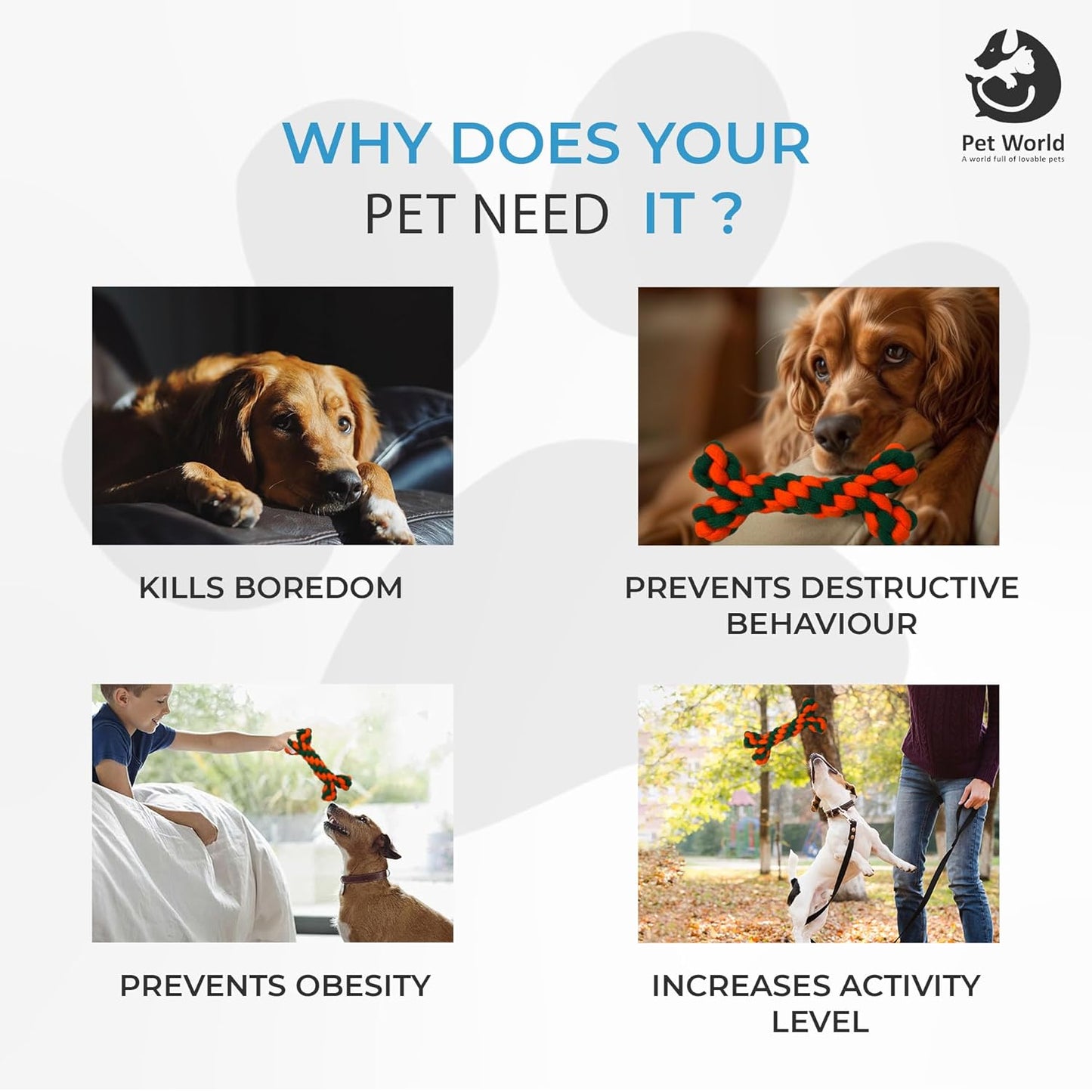 why pets needs chew toys