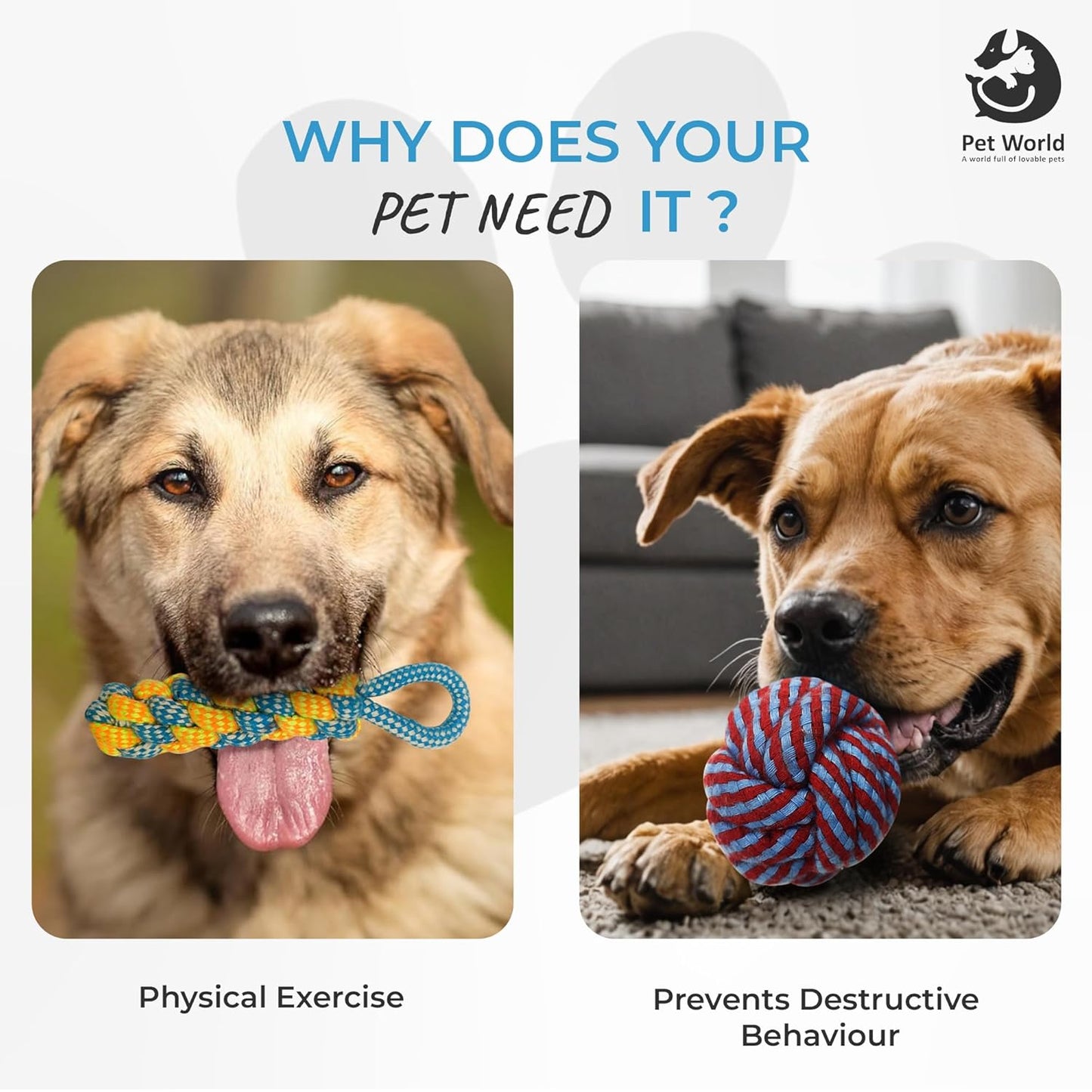why does your pet need rope toys