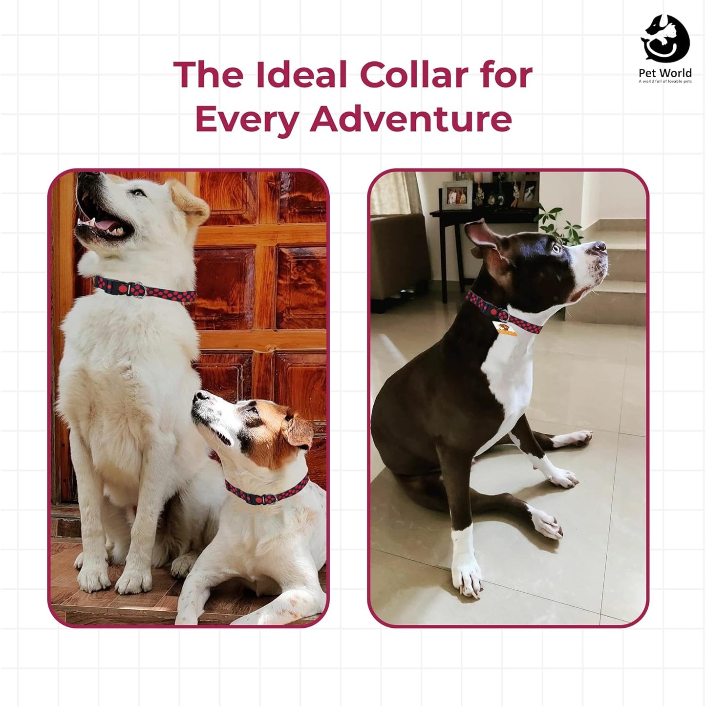 Tailworld Adjustable Dog Printed Collar