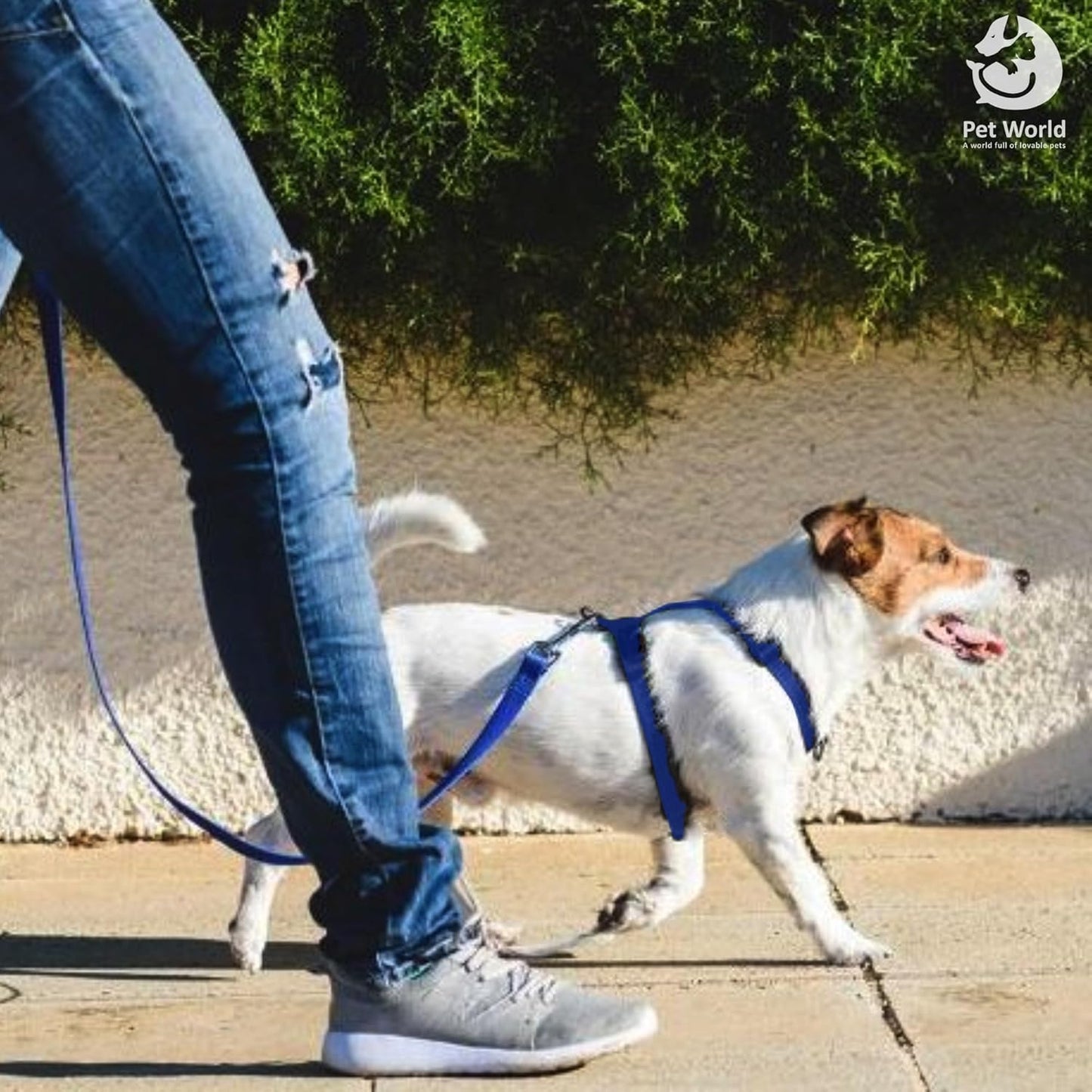 Tailworld Soft Nylon Dog Harness - Large