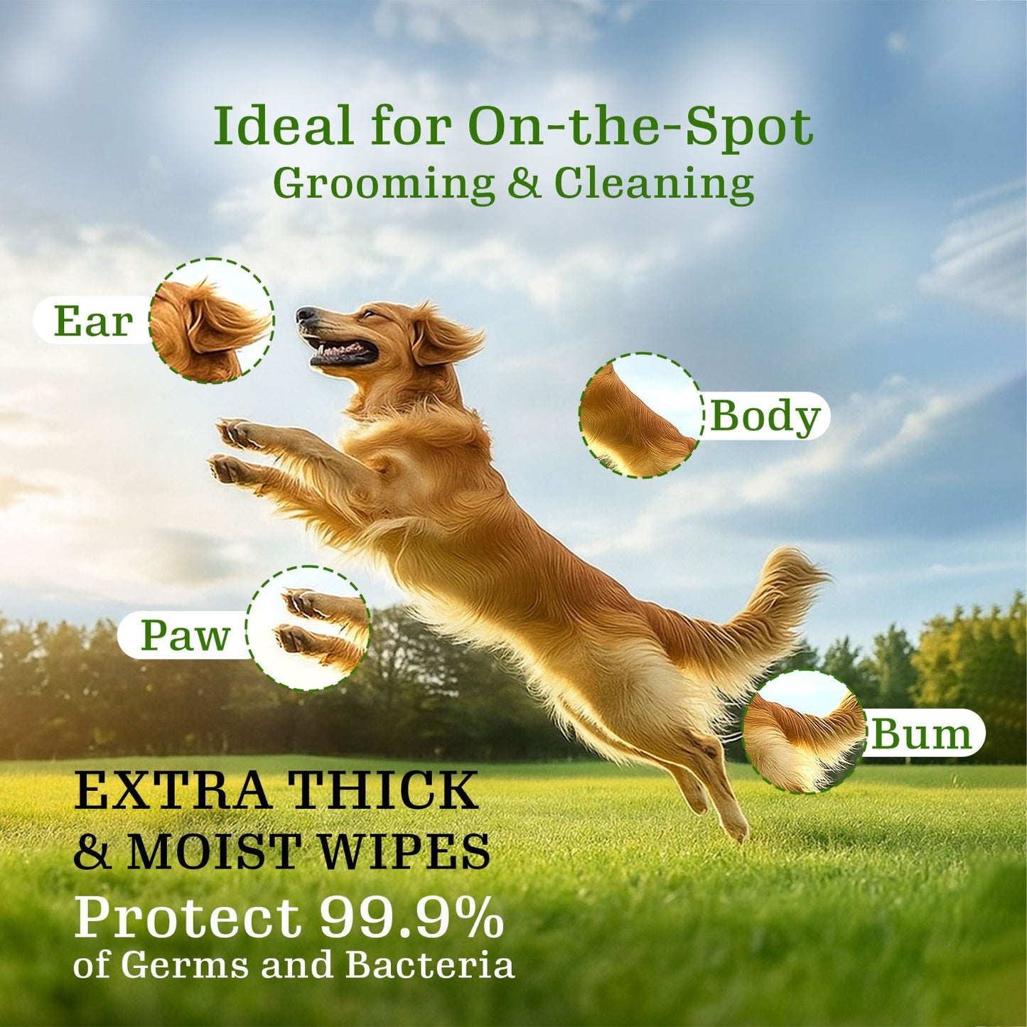 Tailworld Grooming Pet Wet Wipes