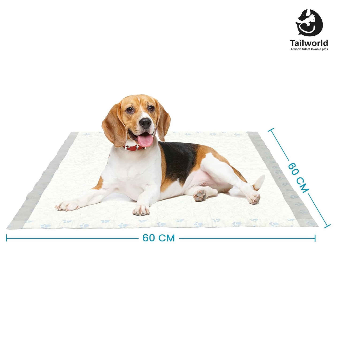 Tailworld Dog Training Pads - Pack of 30 (60 X 60 cm)