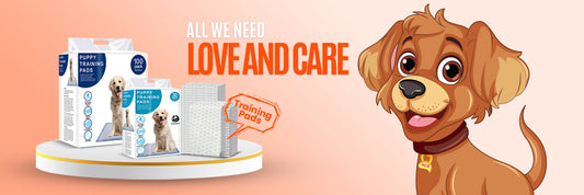 How to Pick the Perfect Training Pads for Your Puppy