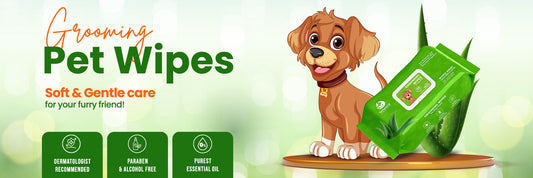 How to Choose the Best Pet Wipes for Your Dog and Cat