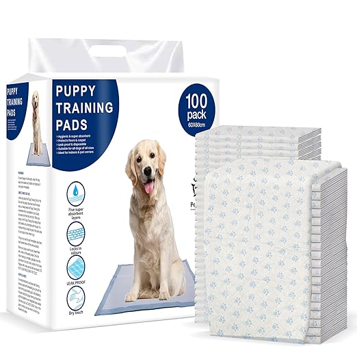 Our Top Product