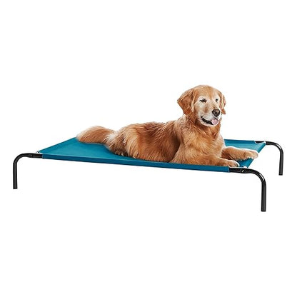 elevated dog bed