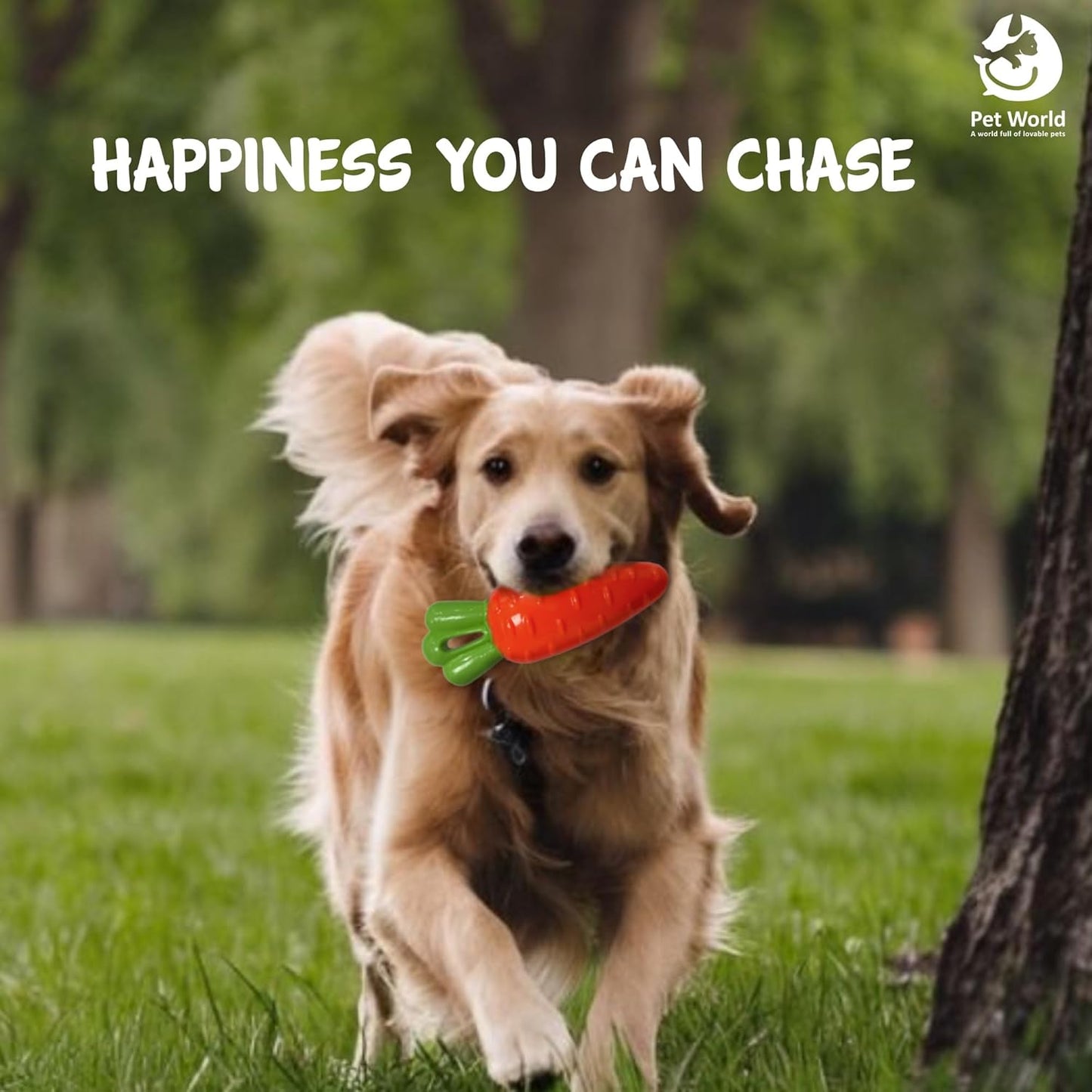buy carrot toy for dogs