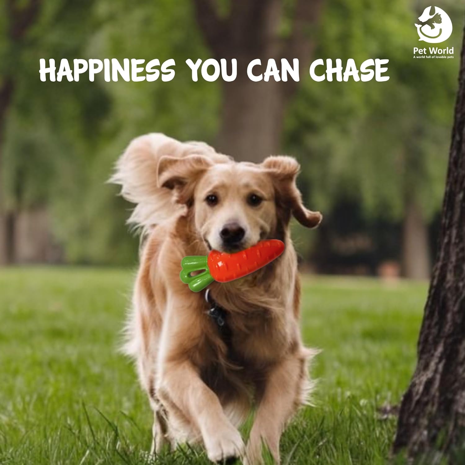 buy carrot toy for dogs