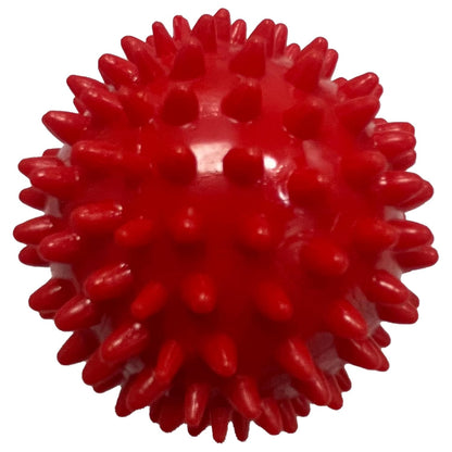 Dog Spike Ball