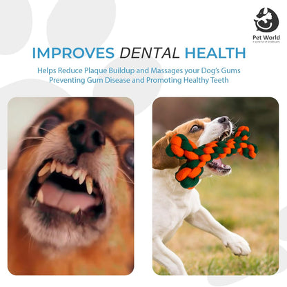 chew toys improves dental health