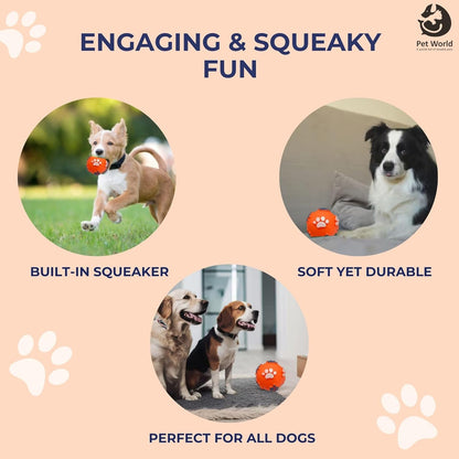 Tailworld Vinyl PAW Dog Ball
