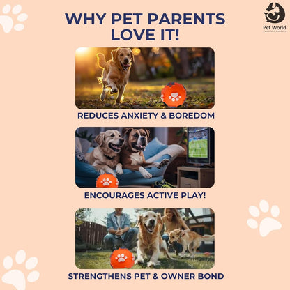 Tailworld Vinyl PAW Dog Ball