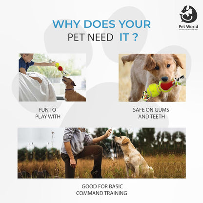 Why does your pet need T knot toys