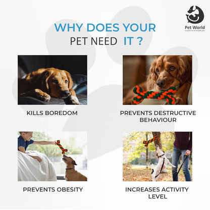 why pets needs chew toys