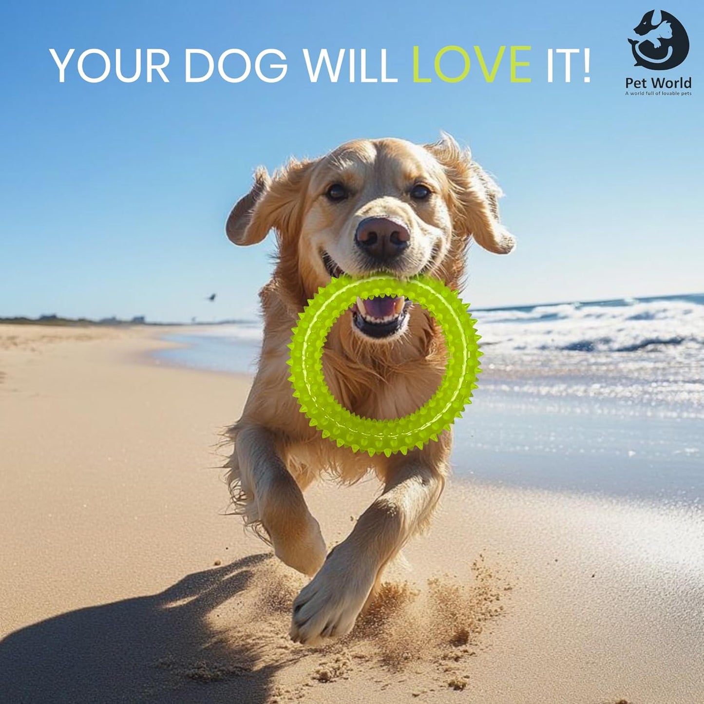 Tailworld Rubber Spike Ring Dog Toy